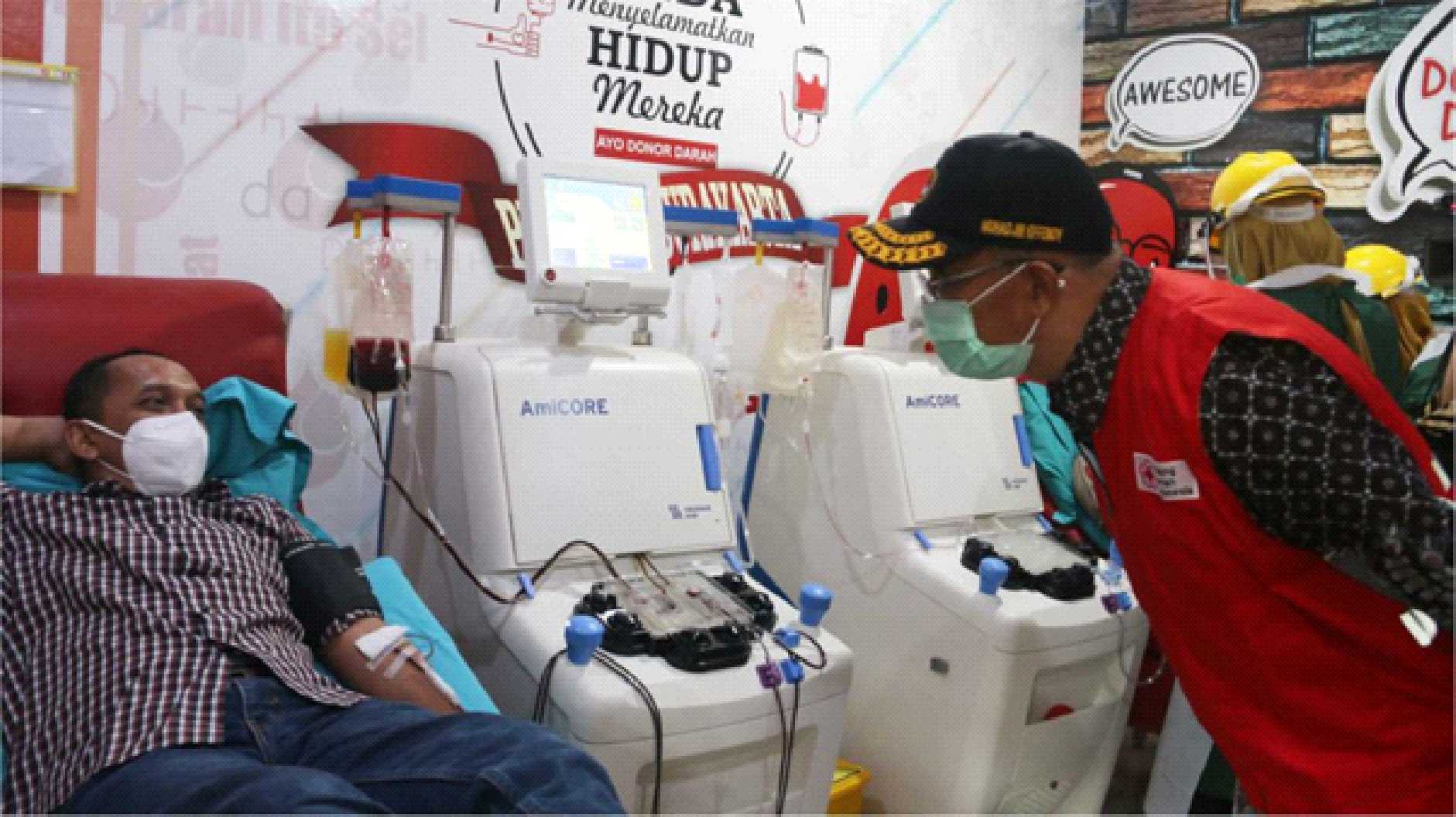 Donor Darah Apheresis